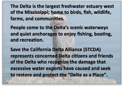 About the Delta - Intro