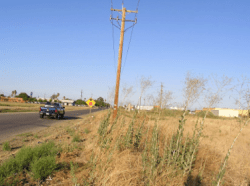 Looking North Towards Mendota