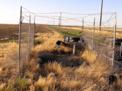 Rusted Irrigation Pipe