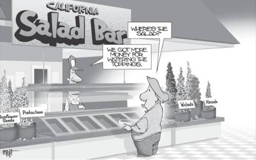 SaladBar